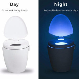 Bathroom Toilet Nightlight LED with Motion Sensor-Gadget-SHED71-SHED71