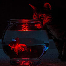 Underwater Lights with Remote Control-Gadget-SHED71-SHED71